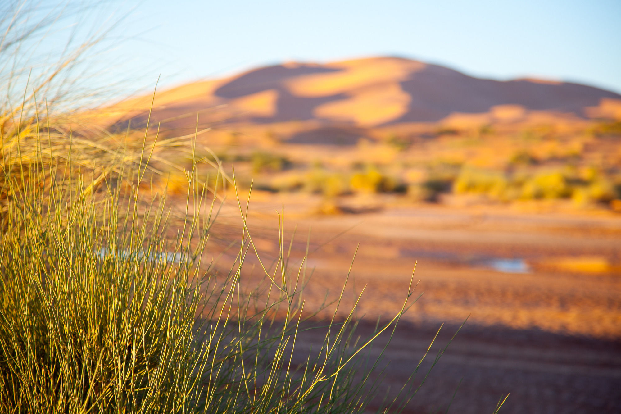 מרזאוגה Kam Kam Dunes מראה חיצוני תמונה